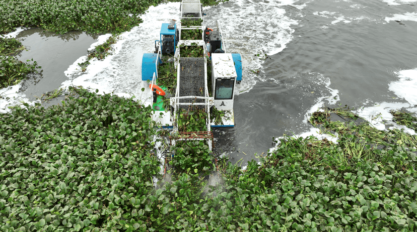 Lake Cleaning Machine Articles, News