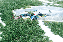 Aquatic Weed Harvester